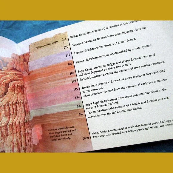 Book - The Little Guides: Dinosaurs, ed. by Dr. Paul Willis - Picture 3 of 16